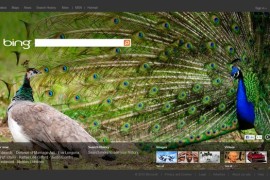 مايكروسوفت تقوم بتحديث واجهة محرك بحث بينج