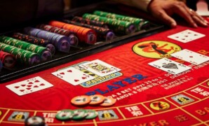 Embracing the Thrill_ Navigating the World of Gambling Adventures