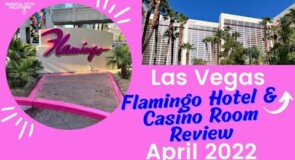 Greatest 5 The brand new Australian Casinos on the internet To own 2025
