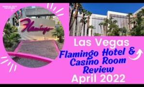 Greatest 5 The brand new Australian Casinos on the internet To own 2025